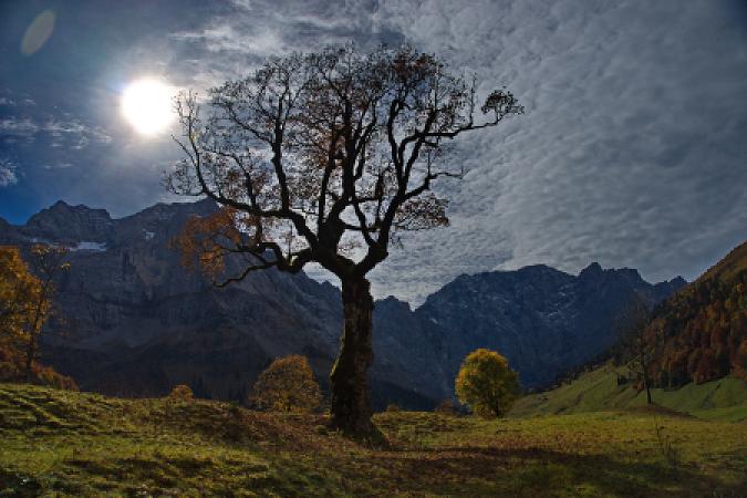 Mystische Sonne