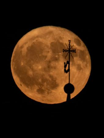 Erdbeermond in Wilparting