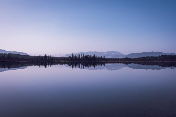 Reflections