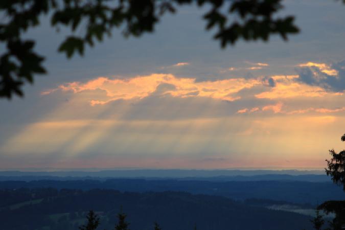 ohne