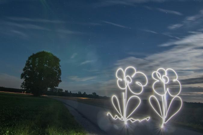 Leuchtspuren 2 (Blume)